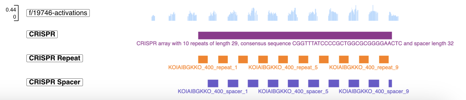 Evo 2 learned to identify viral derived sequences